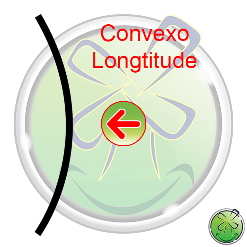 Nuestros tipos de espejos sonrientes disponibles, la forma Convexo Longtitude te hace engordar.
